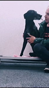 3.1K views · 490 reactions | Hi, I'm Mali . Let me tell you a...