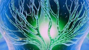 Green Vascular Tree Radiates Luminescent Flow through Branching Filaments Around Stock Footage - Video of branch, physiology: 431001672