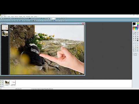Photofiltre Tutorial - The Basics You Need to Know