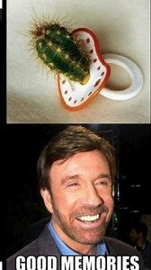 Chuck Norris Facts 😂👍😎 #chucknorrisfacts #worldphotoday #funnyreels | Chuck Jokes