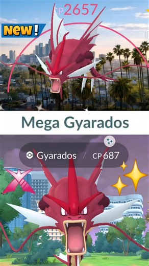 OMG✨️Shiny Background Mega Gyarados in Pokemon Go