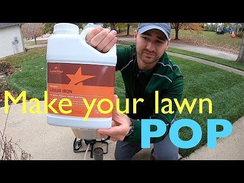 MAKE YOUR LAWN DARKER | Lawn Star Liquid Iron