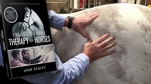 92K views · 1.3K reactions | Online Course for Therapists and Owners. | NAT Global Campus | Facebook