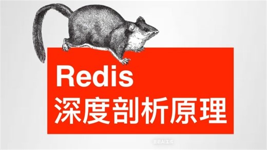 Redis深度剖析原理 - 英文原版p1 - arpitbhayani - Redis Internals