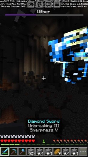My Game BROKE While Fighting the Wither 💀 (Part 14)