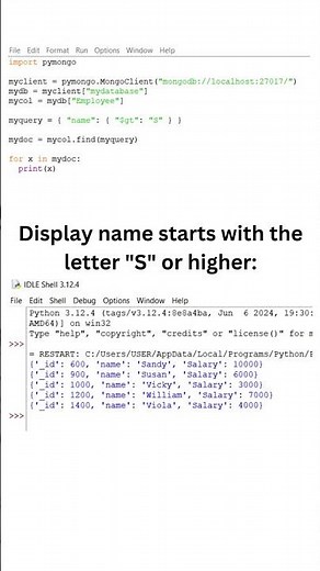 MongoDB query in Python