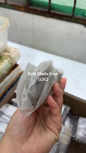 1.5K views · 36 reactions | Do you know the current market value of frozen soft shell crabs? Contact us at +60163764369 or email us at sales@ras-aquaculture.com to start your aquaculture journey today!⁠ #AquacultureRevolution #SustainableFarming #UrbanAquaculture #VerticalFarming #Biofloc #MudCrabFarming #RecirculatingAquaculture #GrowYourOwnFood #Aquaponics #UrbanAgriculture #biosecurity | RAS Aquaculture | Facebook