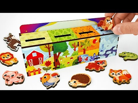 Learn Animal Names and Their Habitats with Sorting Game | Best Preschool Learning Video for Toddlers