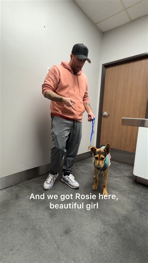 Victor Oliveira on Instagram: "PART 4 Thank you so much @southcoastcounseling for stepping in with this amazing opportunity for dawn and her little fur baby thank you @nathan.t.brown for taking care of Rosie"