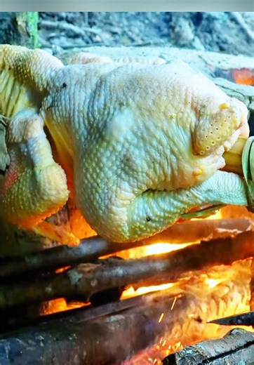 #EPS005 Survival Alone | Discovering Guinea Fowl Tracks and Crafting an Emergency Trap in the Wild #survivalskills #bushcraft #naturelife #survival