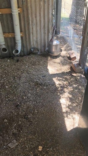 Chicken pen finished wired down the bottom so baby ducklings cant get out far out soo hot | Carry Me Home