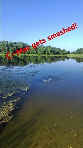 Next Cast Redemption! Largemouth Bass Crushes a Green Pumpkin C-Mac at Sears Lake #takemefishing