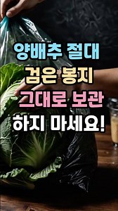 양배추절대검은 봉지그대로보관하지마세요.#양배추보관법#채소신선도유지#냉장고정리팁#식재료관리#건강식단관리🌿 매일 1분, 당신의 건강이 달라집니다🌿#건강정보 #생활꿀팁 #하루건강팁🌿