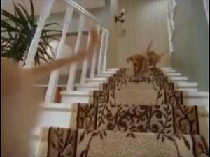 Air Buddies Full Screen Edition 2006 DVD Clip