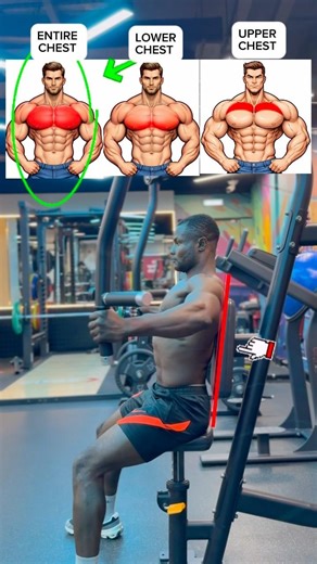 ✅Entire chest ✅Lower chest ✅Upper chest,all in peck fly machine 🔥.