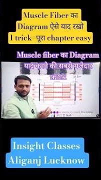 Diagrammatic Representation of muscle fibers || Sarcomere |Locomotion and movement #ncertbiology