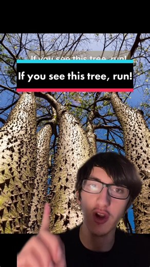 Beware of the Christmas Tree Spike!