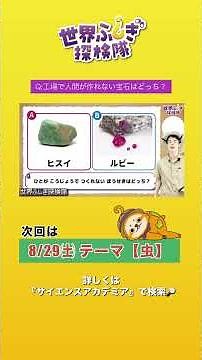 世界ふしぎ探検隊 #宝石 #鉱物 #学習