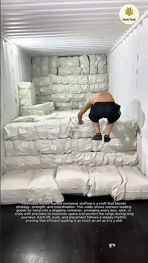 Mastering the Art of Container Loading: The Manual Stuffing Process