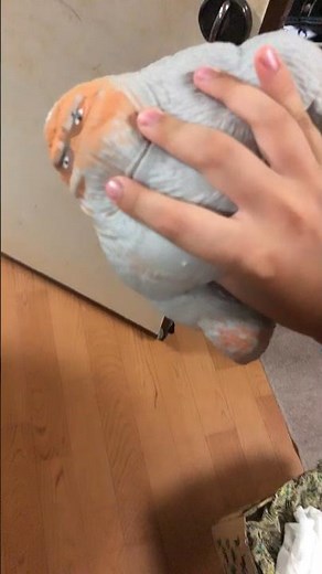 Monkey splat meme 🤣