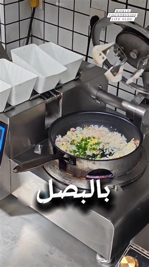 الطباخ الآلي الياباني! The Japanese Robotic Chef! | Factopedia