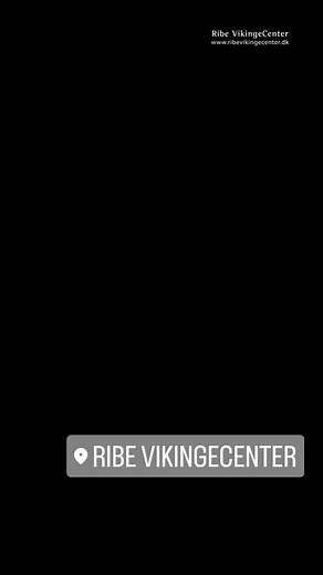 7.3K views · 231 reactions | Ribe VikingeCenter on Reels | Facebook