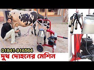 Milking machine price | গাভির দুধ দোহন মেশিনগরুর দুধ দোহন মেশিন এর দাম,dairy farm