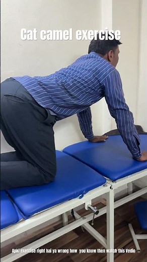 Are doing right or wrong ? how to know about cat camel exercise .