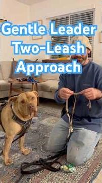 Gentle Leader Two-Leash Approach