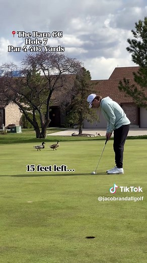 Understanding Golf Stroke Counting