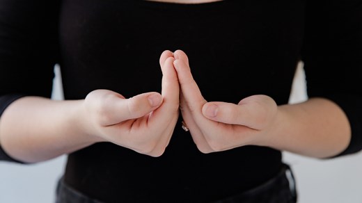 Gratis y desde tu casa: Aquí puedes aprender la lengua de señas mexicana (LSM)