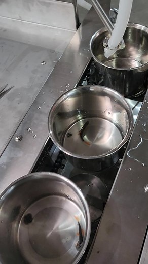 Ornamental fish packaging machine