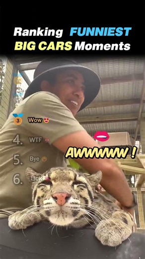 Ranking FUNNIEST BIG CAT MOMENTS Core Moments!! 🦁