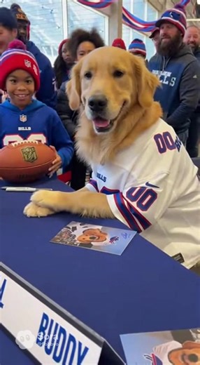 Buddy Meet and Greet With Bills Fans #gobills💙❤️ #billamafia #nfl #dogsofttiktok #buffalobills