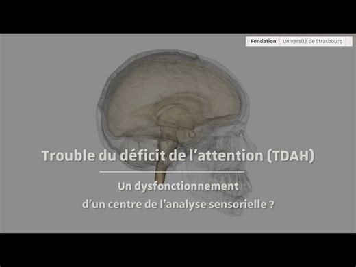 Conférence | TDAH : un dysfonctionnement de l’analyse sensorielle ?