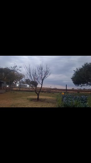 1.3K views · 25 reactions | Our first rain! | Back to Basics | Facebook