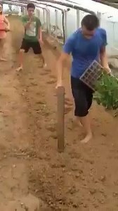 499K views · 1.3K reactions | Manual sowing | AGRI MECH | Facebook