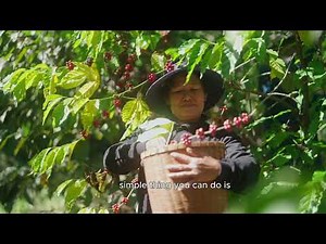 How Fairtrade Is Supporting Coffee Farmers for a More Sustainable Future
