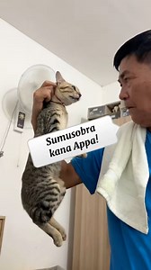 295K views · 5.3K reactions | Sobra naman makahawak to si Appa | Team Fifi | Facebook