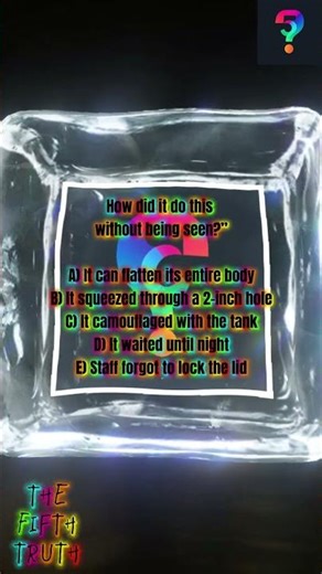 How Did This Octopus Escape a Locked Tank? 🐙