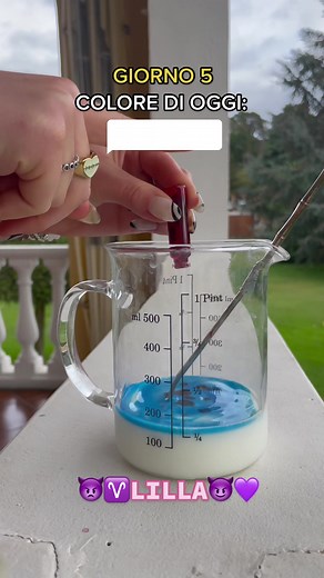 Pamela Paolini su TikTok