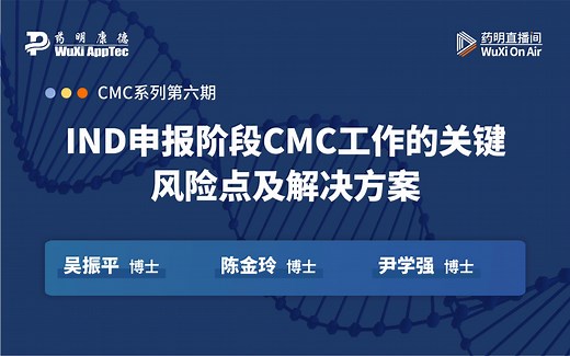 CMC：IND申报阶段CMC工作的关键风险点及解决方案
