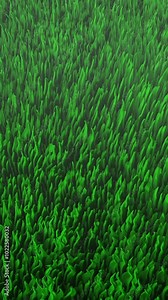 A Vibrant Green Grass Texture Perfectly Suited for Various NatureThemed Projects and Designs Stock Video