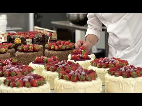 🔴 LIVE 24/7 Snowfall Background – Silent Winter Ambience for Focus & Relax