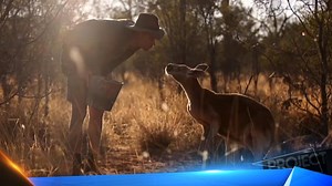 142K views · 1.8K reactions | Our great Australian outback has produced its fair share of characters. Now one of its most famous is entering his twilight years and his best mate is hoping to create a lasting tribute. | The Project | Facebook
