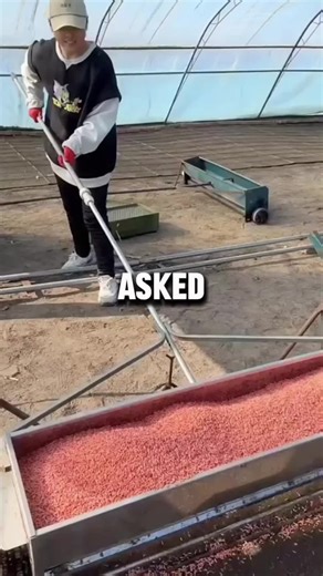 Olaf's Adventures at Disneyland Paris: World of Frozen