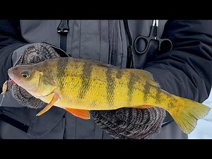 Ice Fishing Lake Winnebago 1-21-23