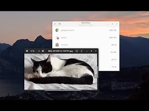 Workflow, Linux screen time tracker app, in 30 seconds
