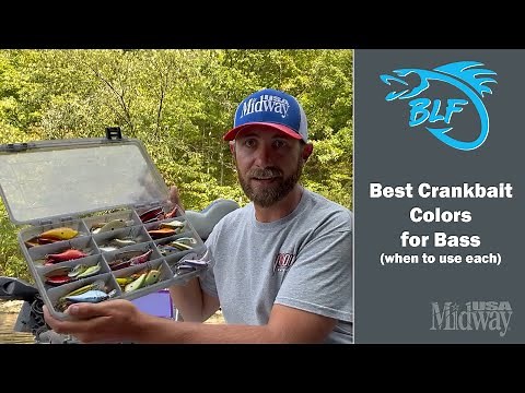 Best Crankbait Colors for Bass | Brandon Lester