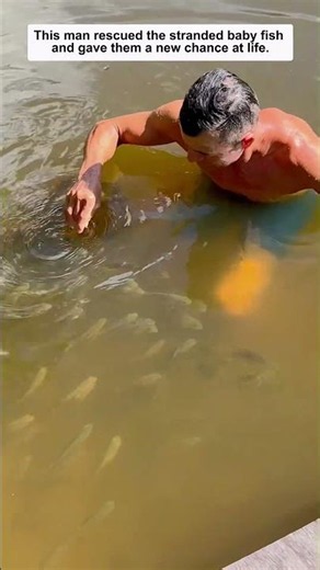 This man rescued the stranded baby fish and gave them a new chance at life.